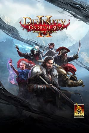 Divinity: Original Sin 2 - Definitive Edition cover