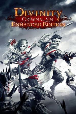 Divinity: Original Sin Enhanced Edition cover